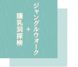 西表島ケービング体験ツアー