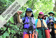 Okinawa, Iriomote island, Family tour, Encounters with wildlife