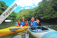 Iriomote Island, Mangrove kayaking & Yubu Island tour, Water fall bsin