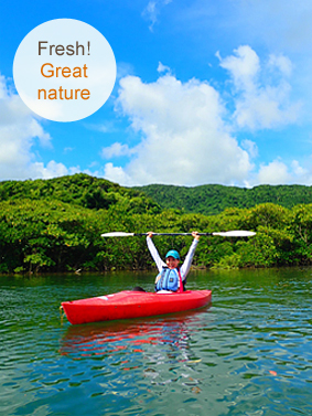 Mangrove kayaking & Yubu Island tour, Water fall basin