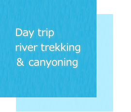 Okinawa Iriomote Island Kayak and Canyoning experience tour