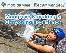 iriomote mangrove kayaking & canyoning