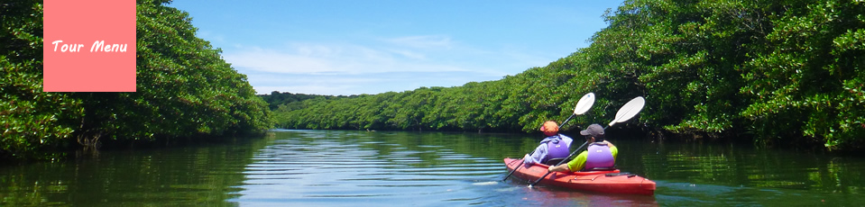 Iriomote island tour menu