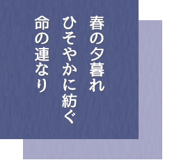 ヤエヤマボタル観賞コース