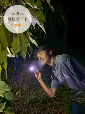ヤエヤマボタル観賞ツアー・専属ガイドミッキー