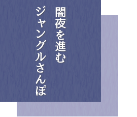 西表島ナイトツアー・闇夜を進むジャングルさんぽ