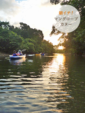 西表島・朝イチ!マングローブカヌー