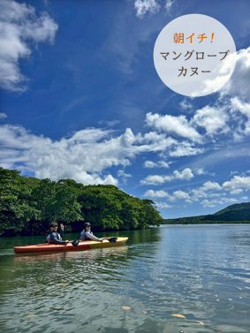 西表島・右上img●●●●