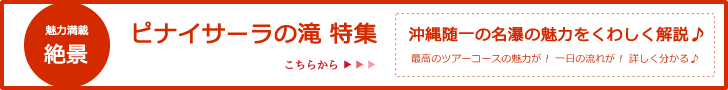 西表島ピナイサーラの滝特集