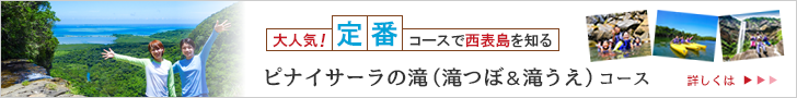 西表島ピナイサーラの滝(滝つぼ&滝うえ)コース詳細