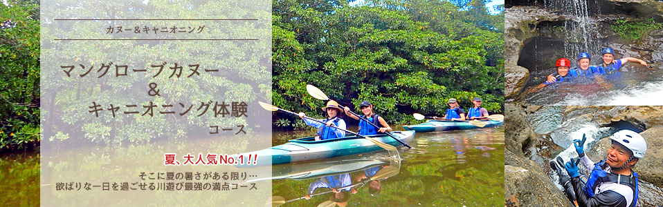 西表島・マングローブカヌー&キャニオニング体験ツアー