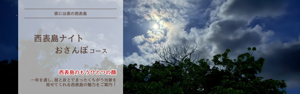 西表島ナイトツアー