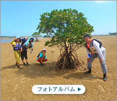 西表島カヌーツアー風車フォトアルバム