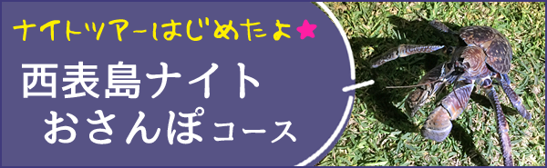 西表島ナイトおさんぽコース