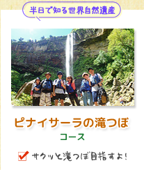 西表島カヌー半日コース・ピナイサーラの滝つぼ