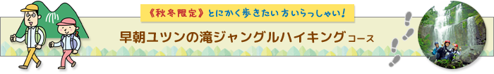 西表島・秋冬限定・早朝ユツンの滝ジャングルハイキングコース